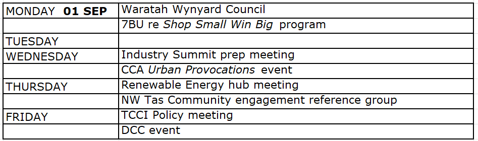 Ian's schedule from September 1:
Monday 1 Sep: Waratah Wynyard Council 
7BU re Shop Small Win Big program 
Tuesday: Blank.
Wednesday: Industry Summit prep meeting
CCA Urban Provocations event 
Thursday: Renewable Energy Hub meeting
NW TAS community engagement reference group
Friday: TCCI Policy meeting 
DCC event